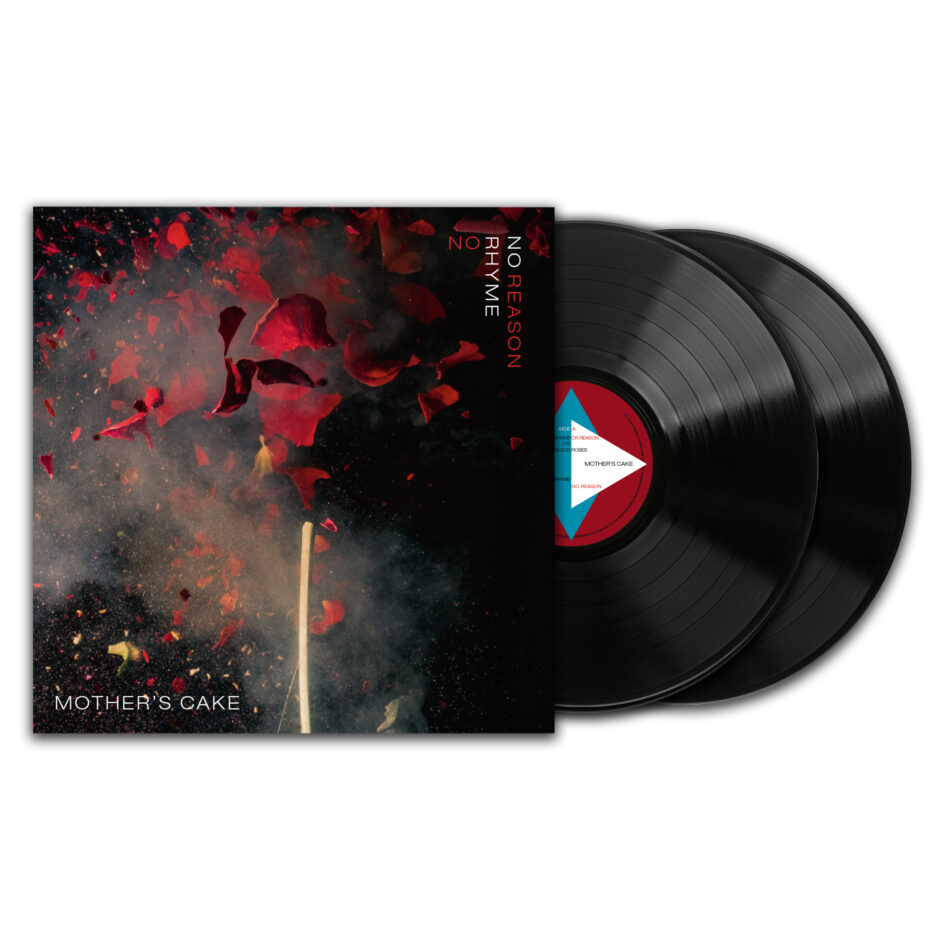No Rhyme No Reason Vinyl